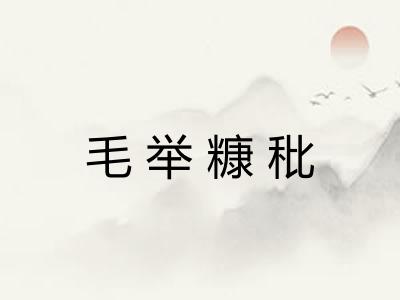 毛举糠秕