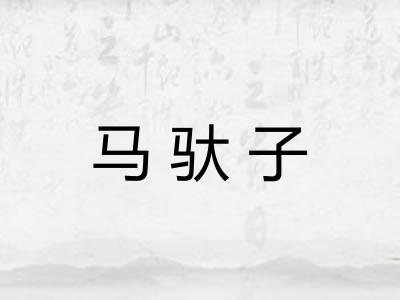 马驮子 马驮子