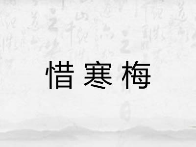 惜寒梅