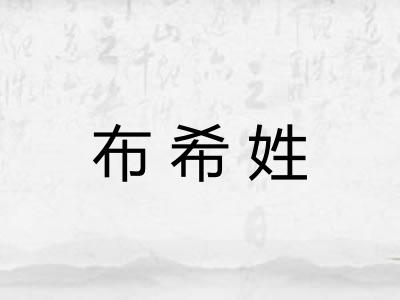 布希姓