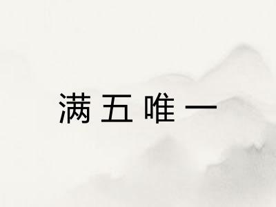 满五唯一