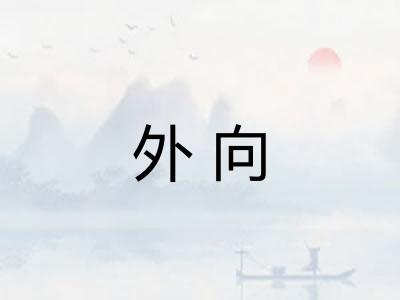 外向 外向