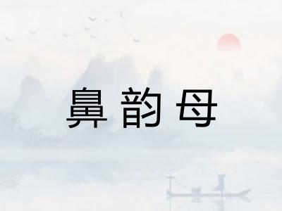 鼻韵母 鼻韵母