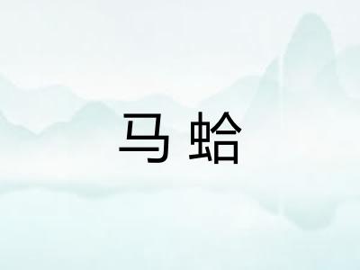 马蛤 马蛤