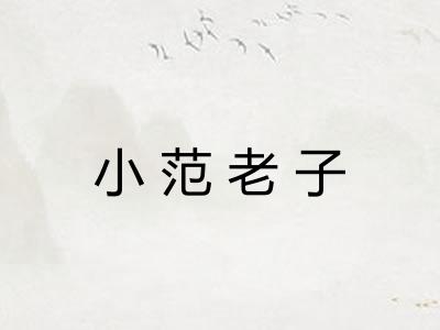 小范老子