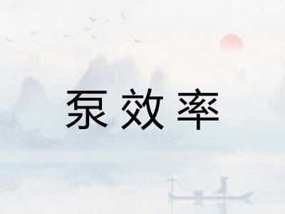 泵效率