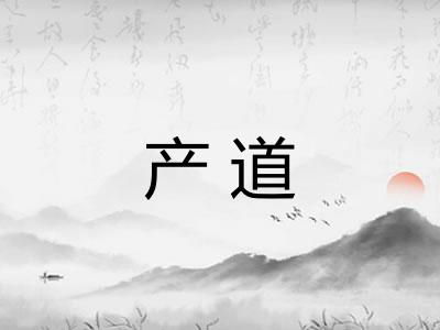 产道 产道