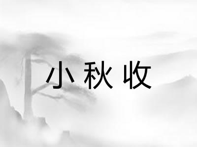 小秋收