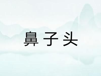 鼻子头