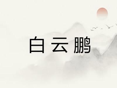 白云鹏