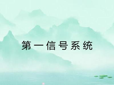 第一信号系统