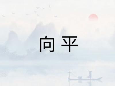 向平 向平