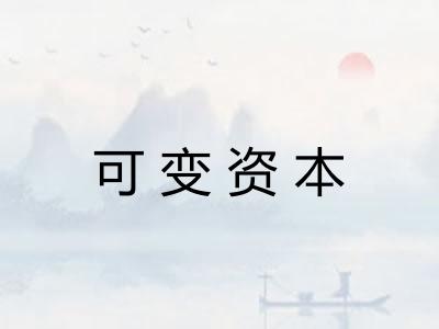 可变资本