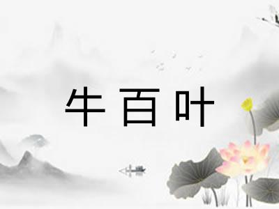 牛百叶