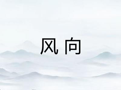 风向