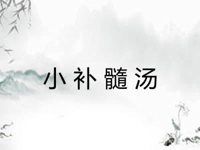 小补髓汤 小补髓汤