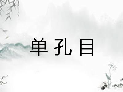 单孔目