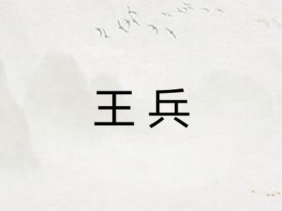 王兵 王兵