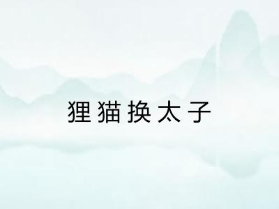 狸猫换太子
