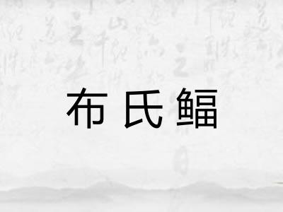 布氏鲾