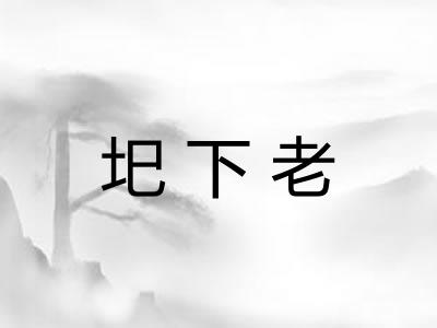 圯下老 圯下老