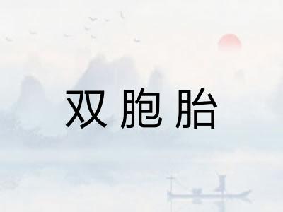 双胞胎