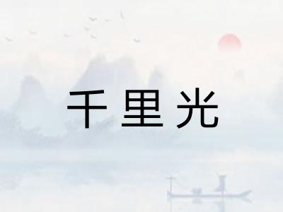 千里光 千里光