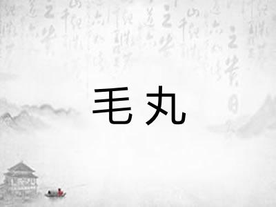 毛丸