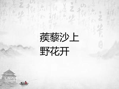 蒺藜沙上野花开