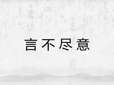 言不尽意