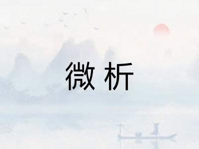 微析