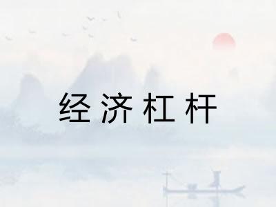 经济杠杆 经济杠杆