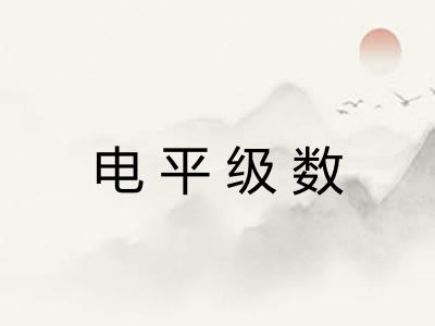 电平级数