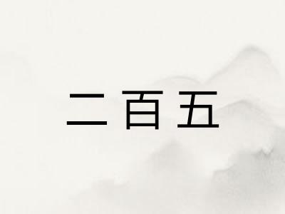 二百五