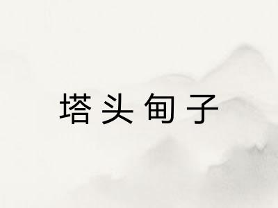 塔头甸子 塔头甸子