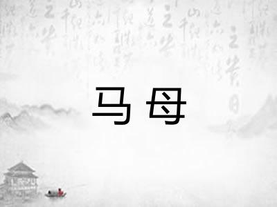 马母
