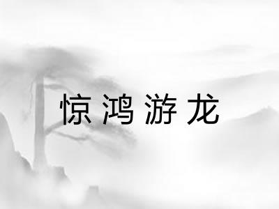 惊鸿游龙