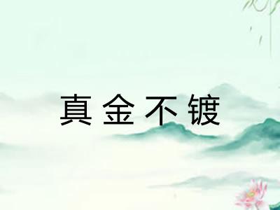 真金不镀
