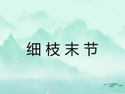 细枝末节 细枝末节