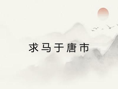求马于唐市