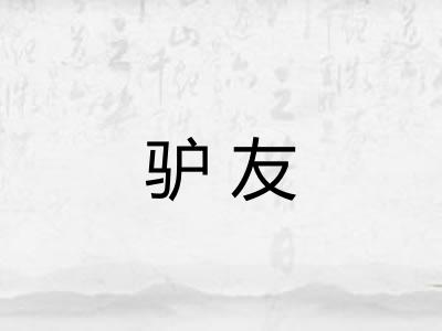 驴友