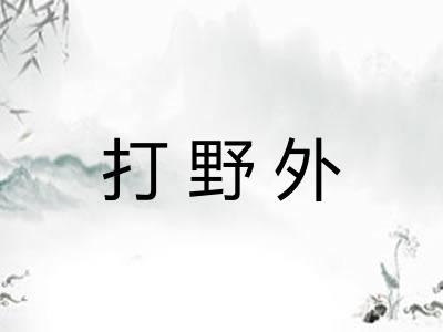 打野外