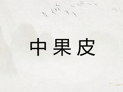 中果皮