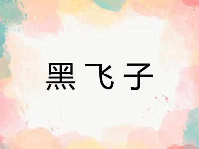 黑飞子 黑飞子