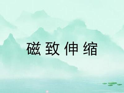 磁致伸缩 磁致伸缩