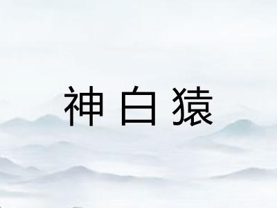 神白猿