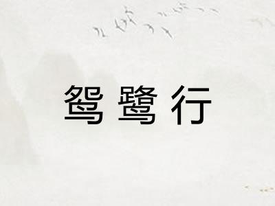 鸳鹭行