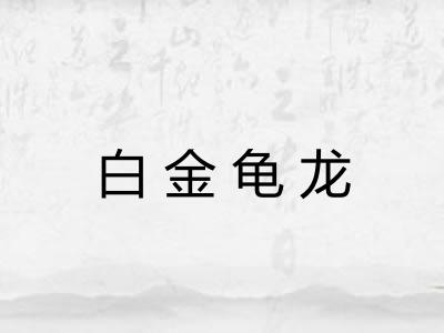 白金龟龙