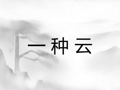 一种云