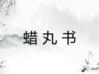 蜡丸书